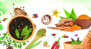 Food & Nutraceutical Division
